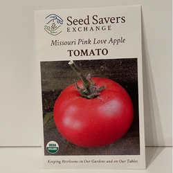 Missouri Pink Love Apple Tomato, 1860 Heirloom, organic
